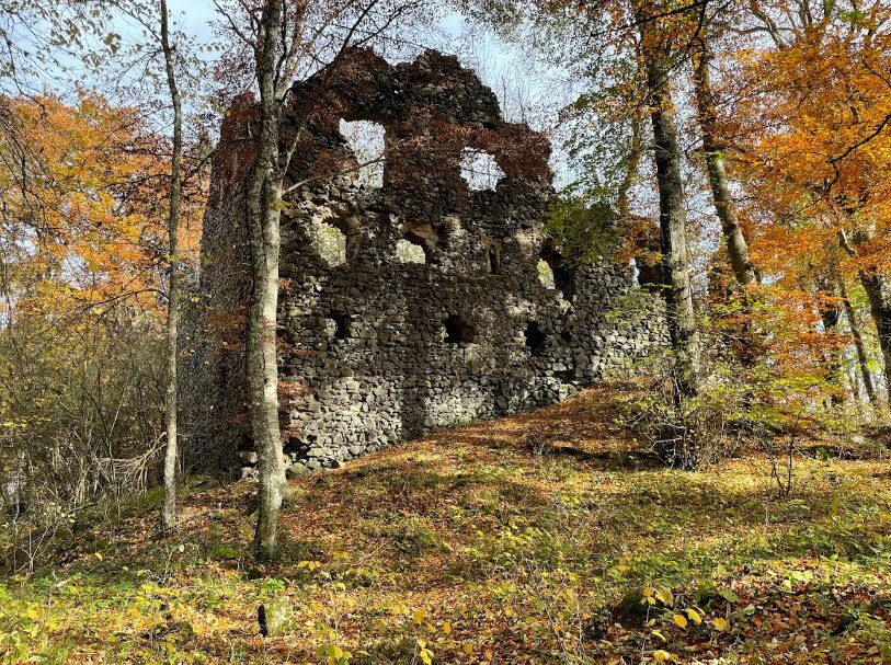 Burgruine Neuhewen, Germany